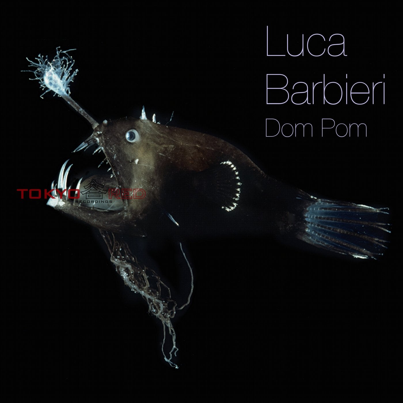 Dom Pom (Original Mix) by Barbieri on Beatport