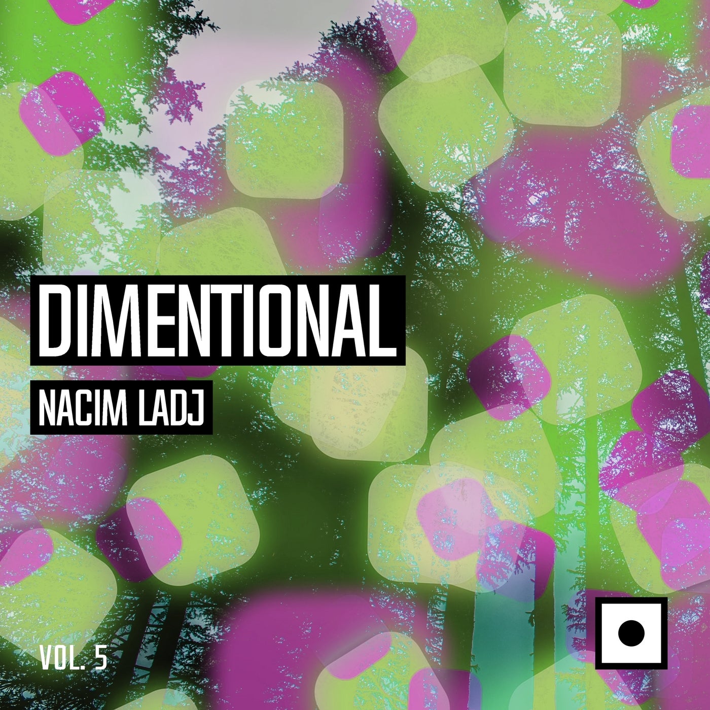 Dimentional, Vol. 5