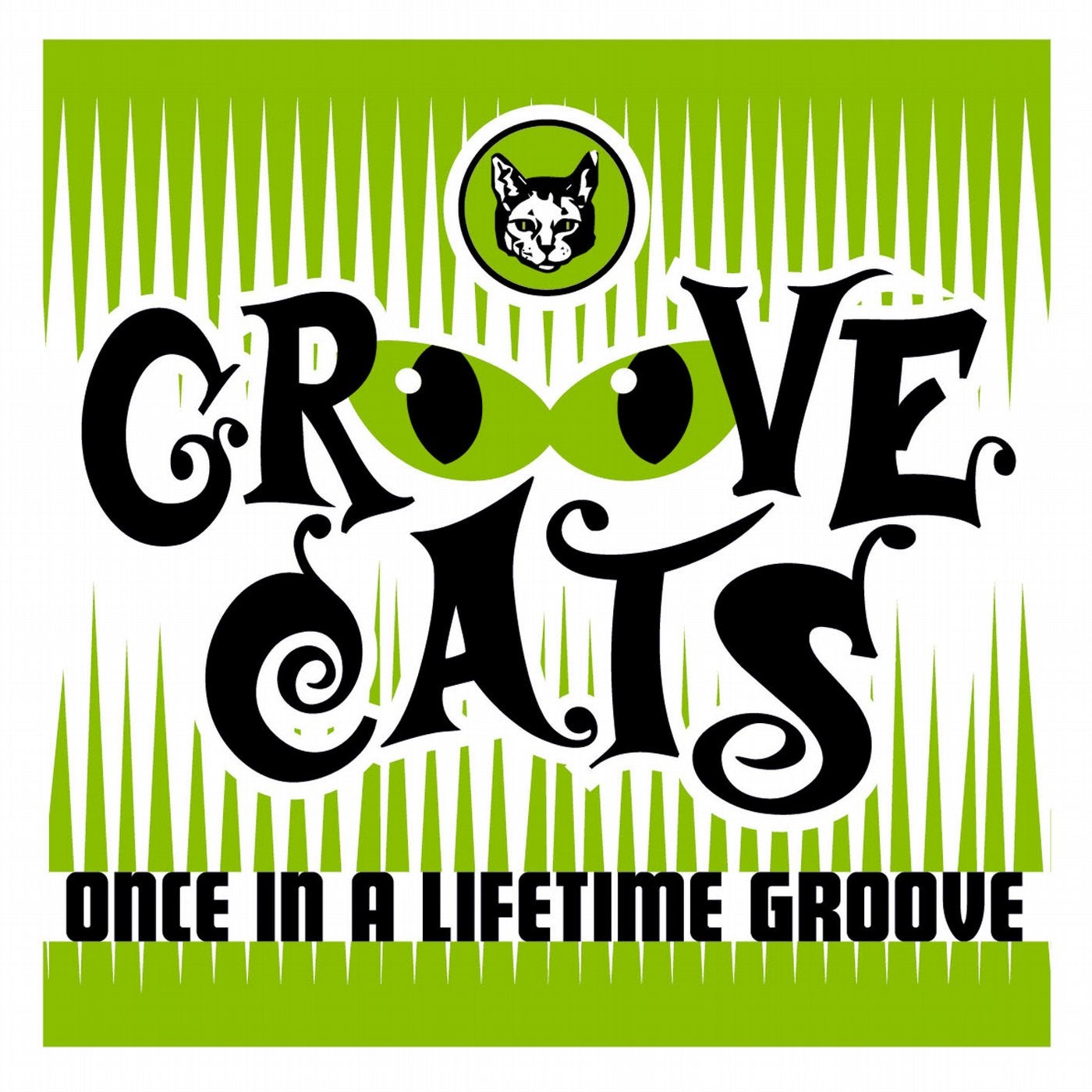 Once In A Lifetime Groove