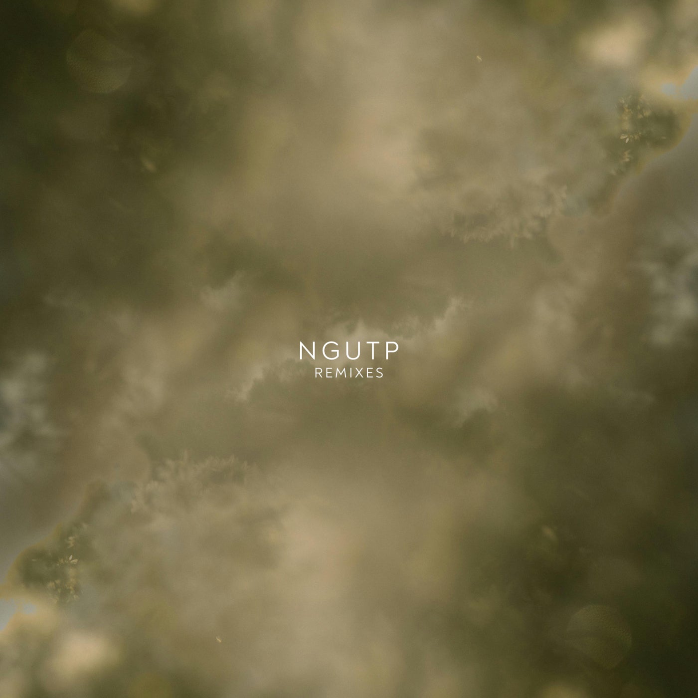 NGUTP REMIXES