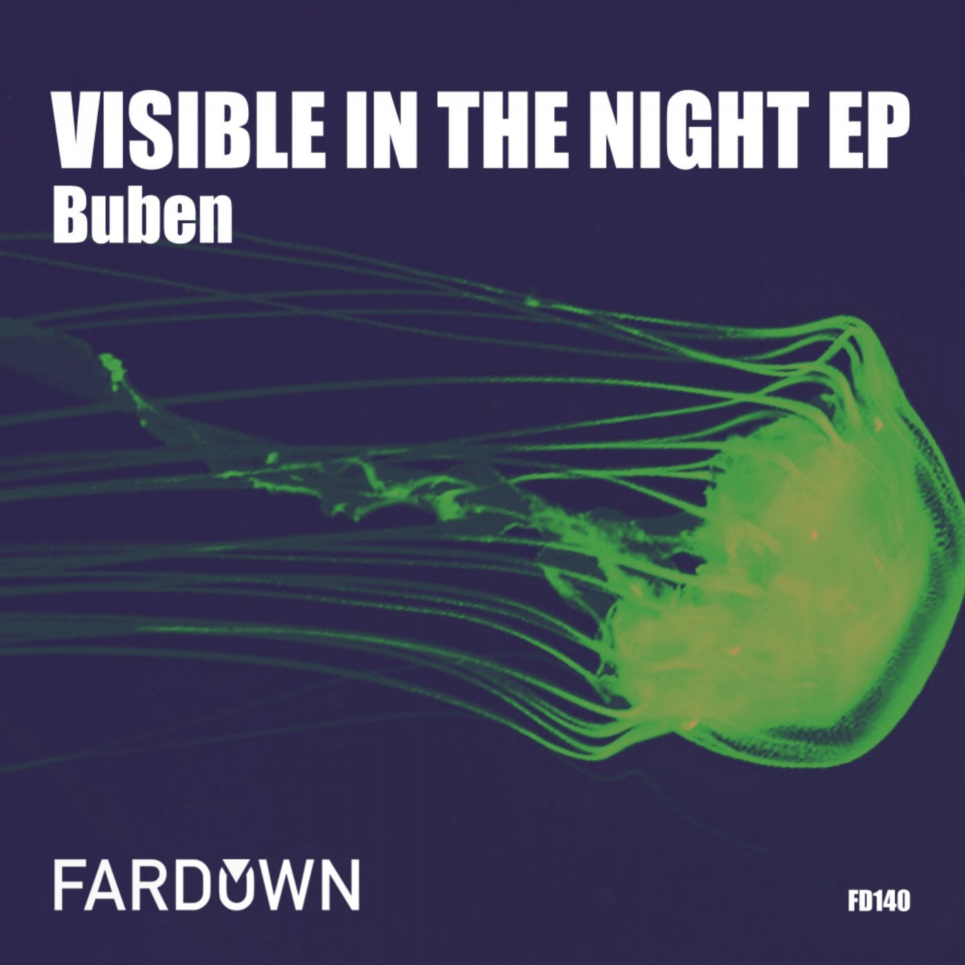 Visible In The Night EP
