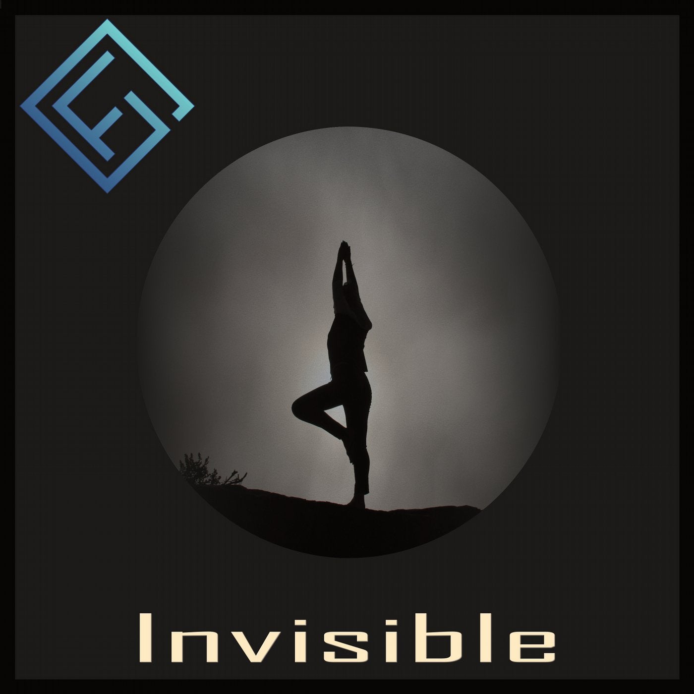 Invisible