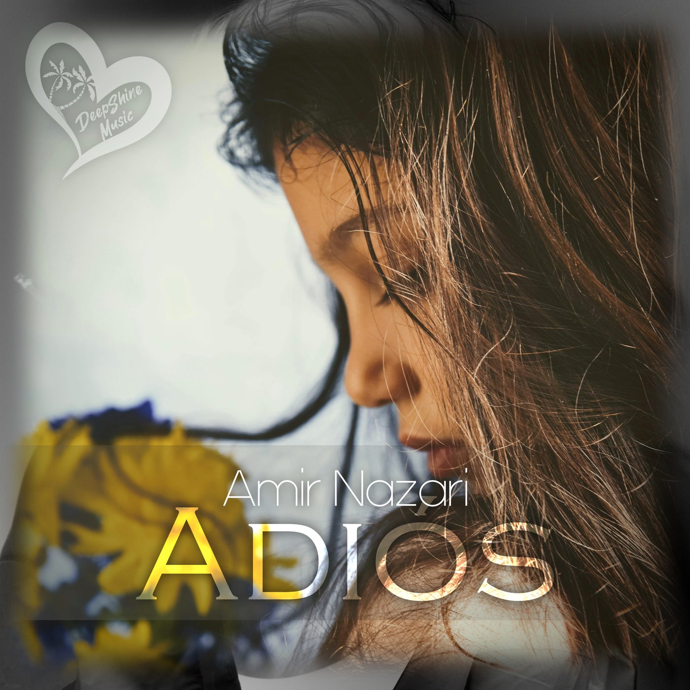 Adiós