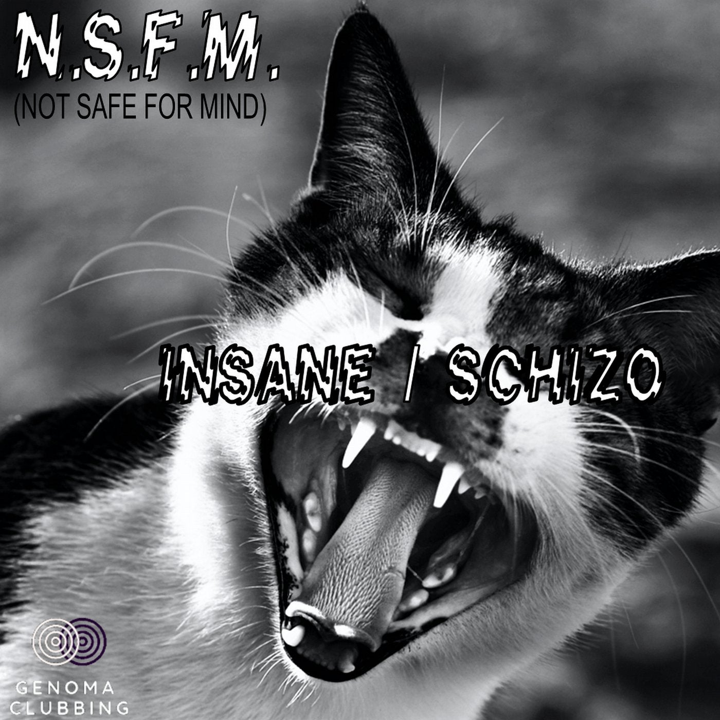 Insane / Schizo