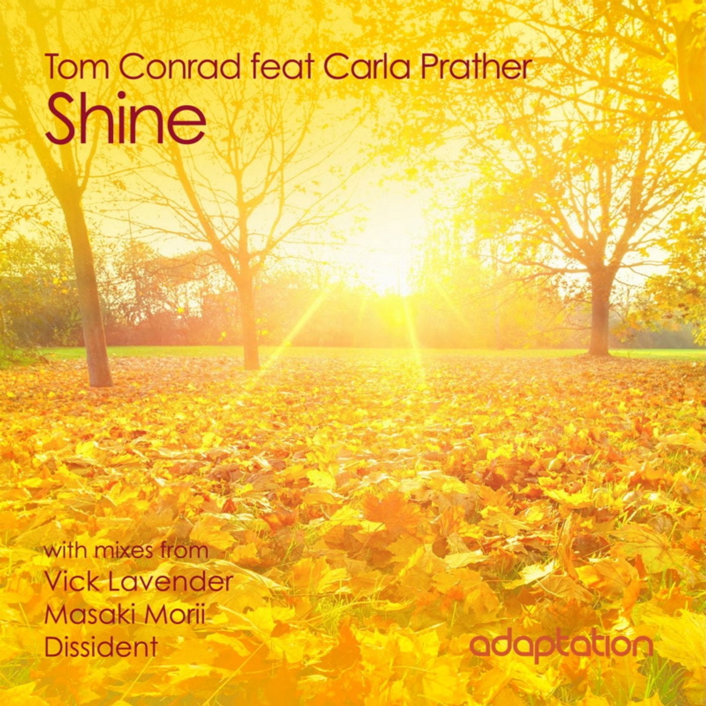 Shine (feat. Carla Prather)