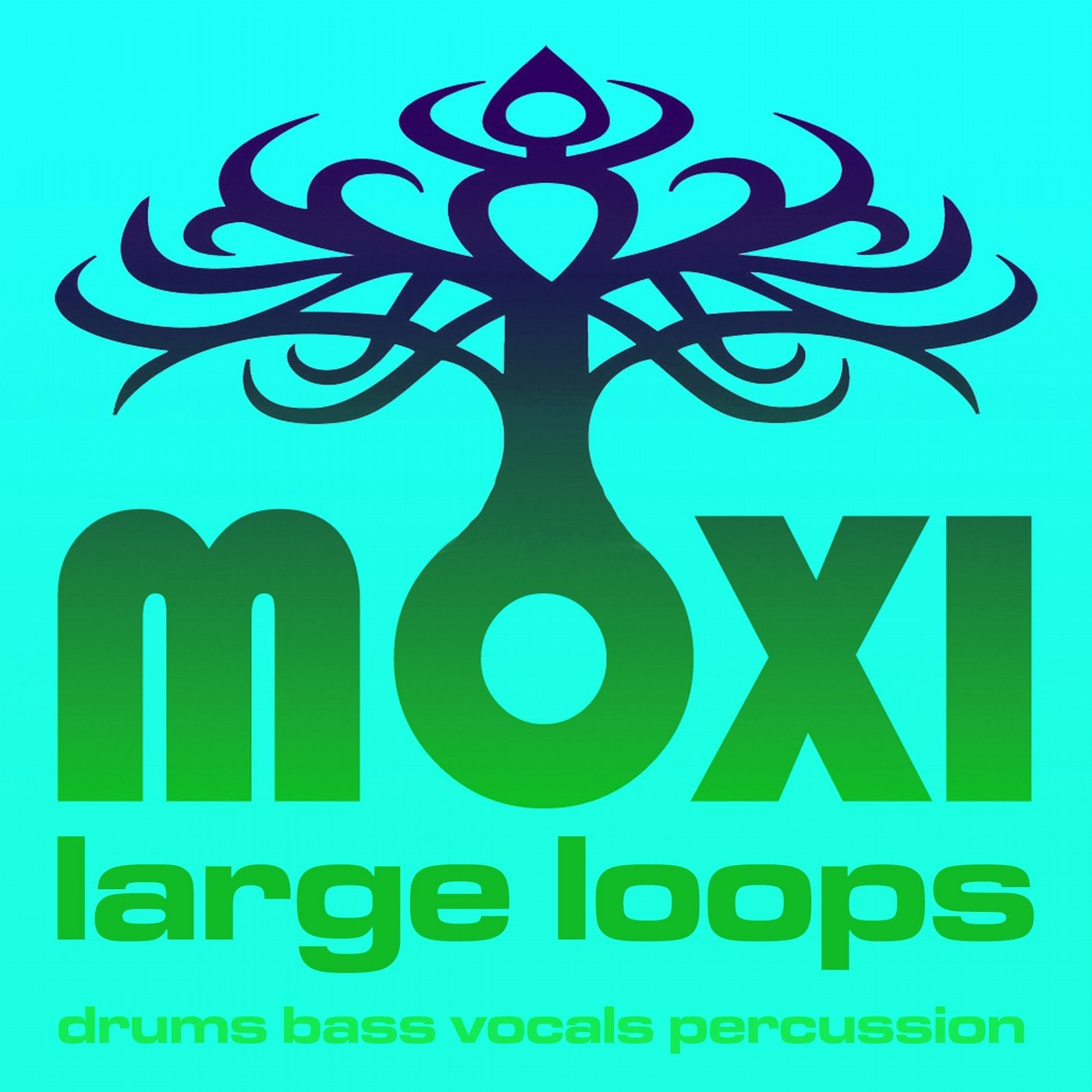 Vortex Loopy Loops Volume 13