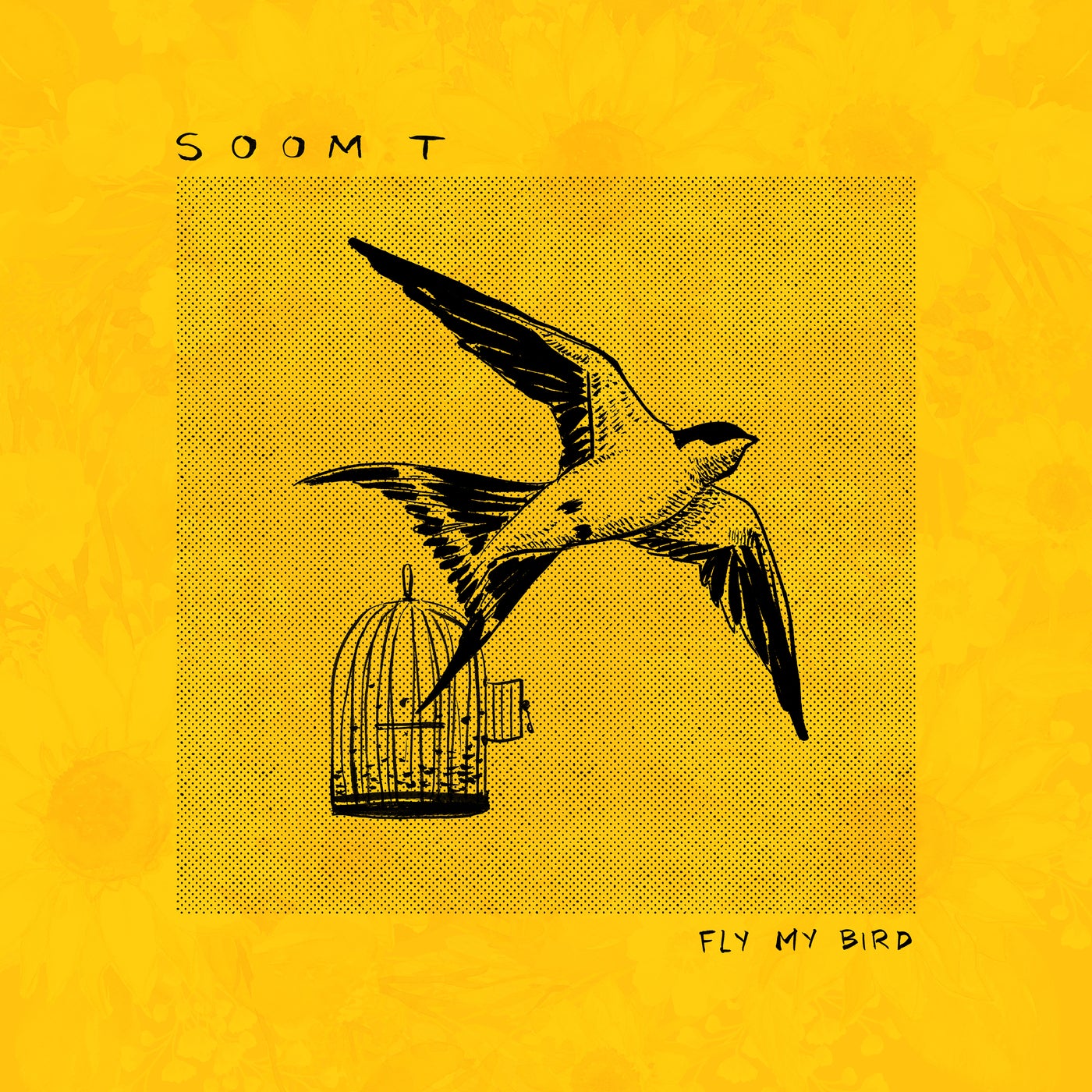 Fly my Bird