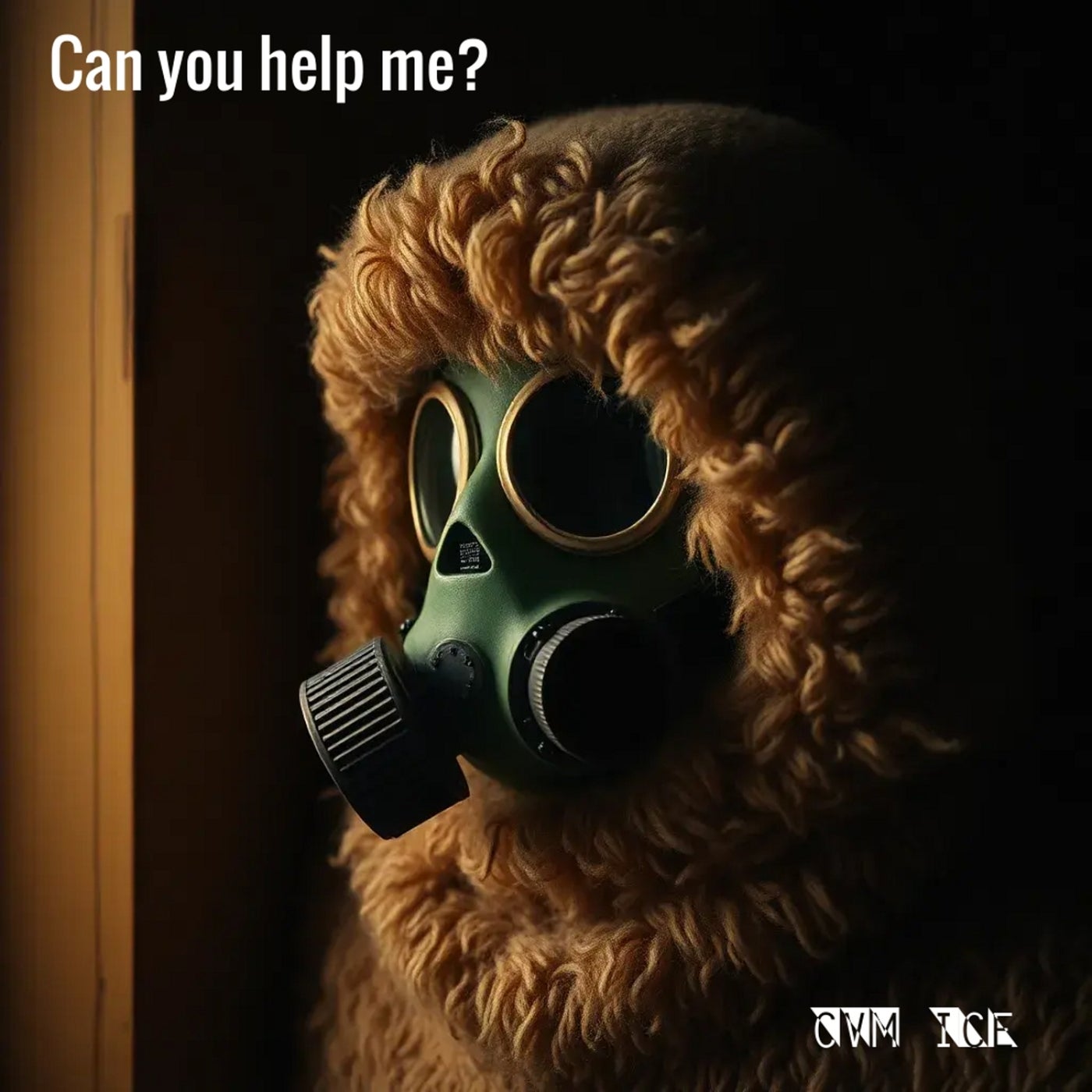Can You Help Me?