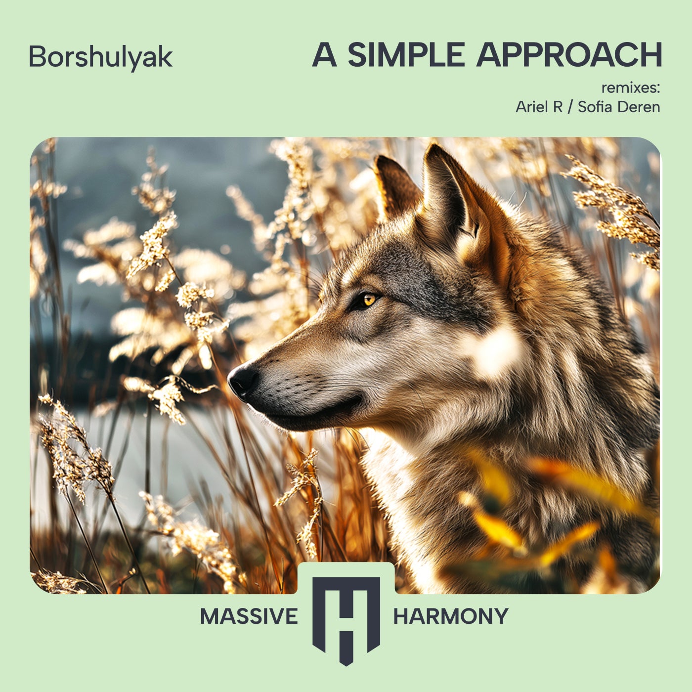 Borshulyak - A Simple Approach [Massive Harmony Records] | Music ...