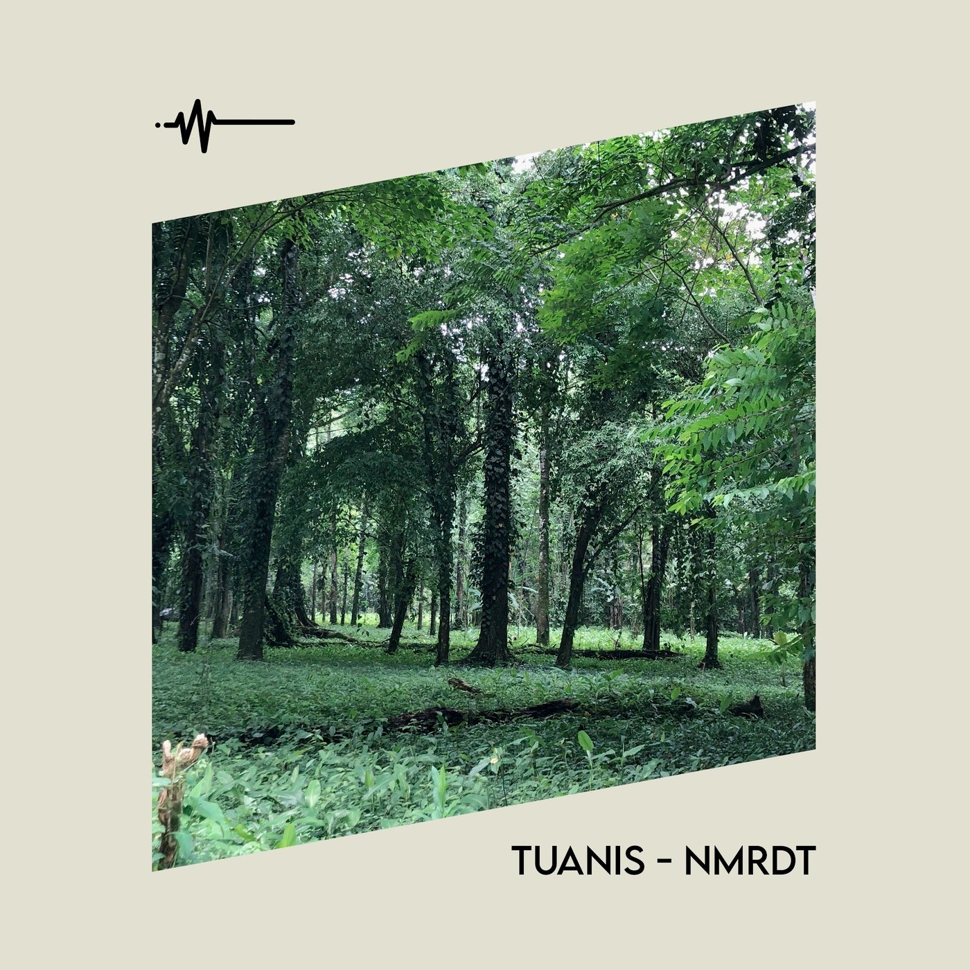Tuanis