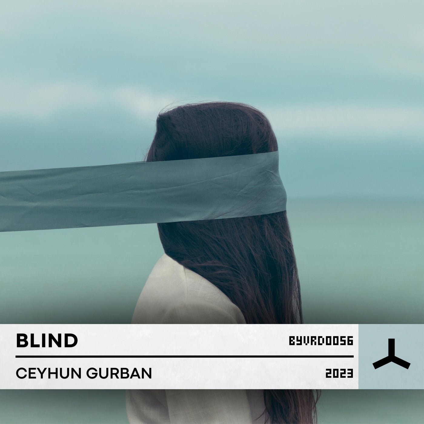 Blind