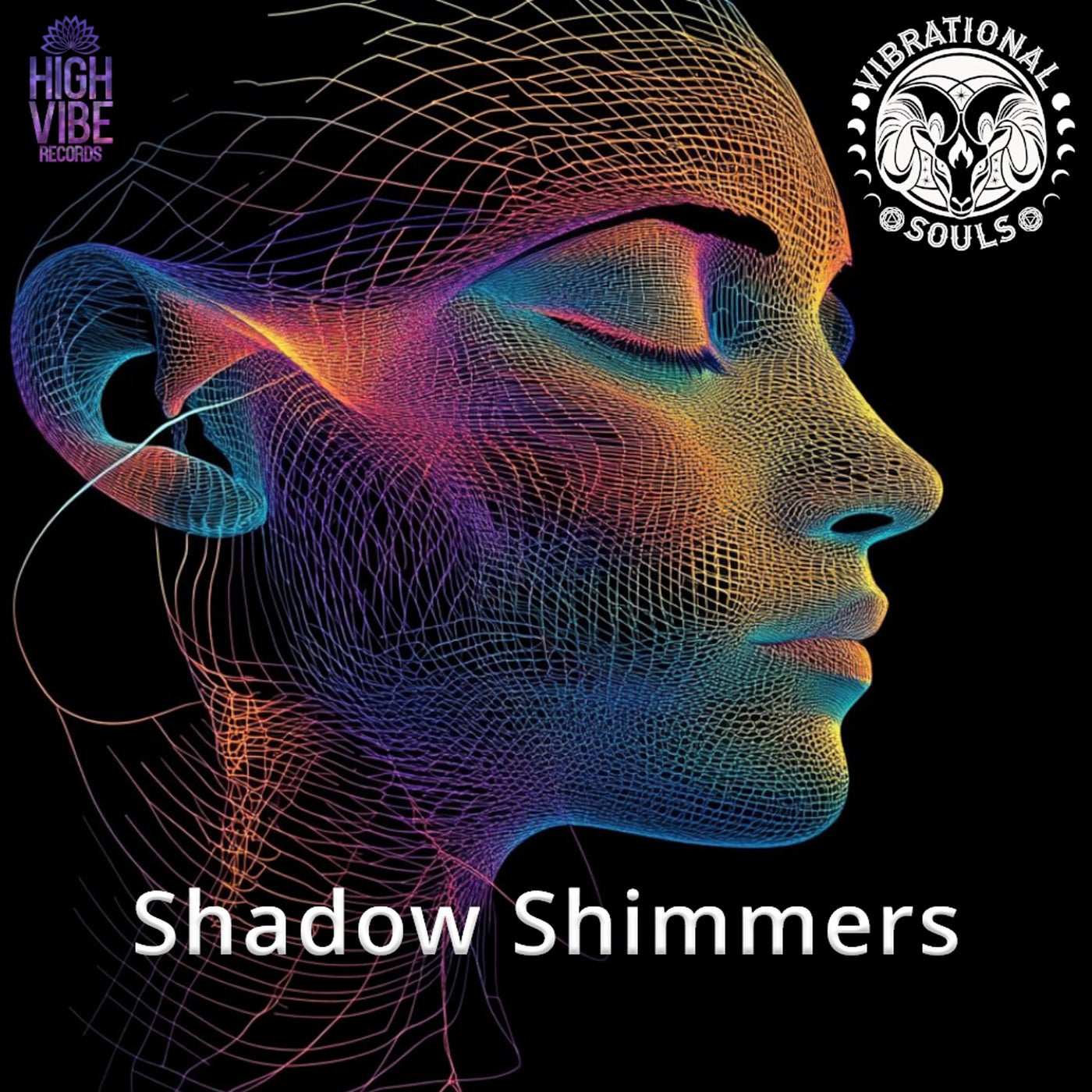 Cover art for Shadow Shimmers
