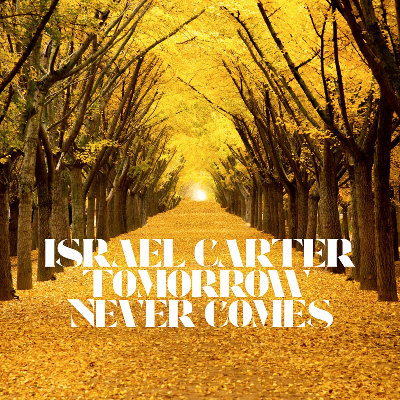 Tomorrow Never Comes (Extended Mix)