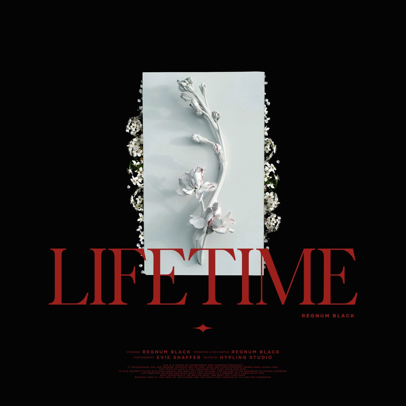 Lifetime