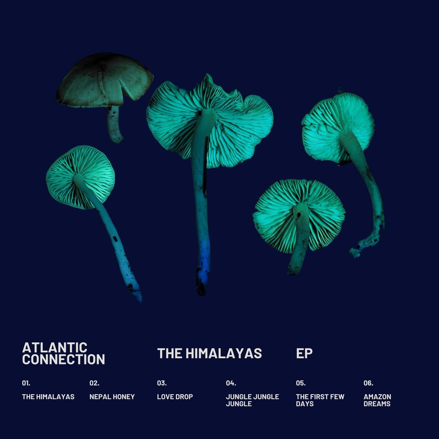 The Himalayas EP