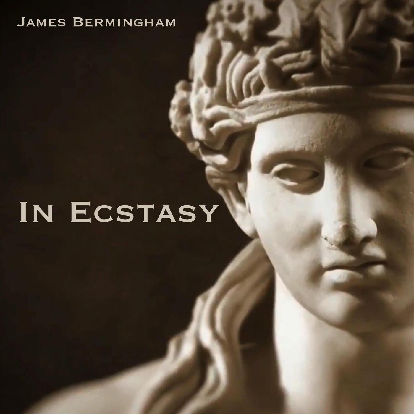 James Bermingham - In Ecstasy [DistroKid] | Music & Downloads on Beatport