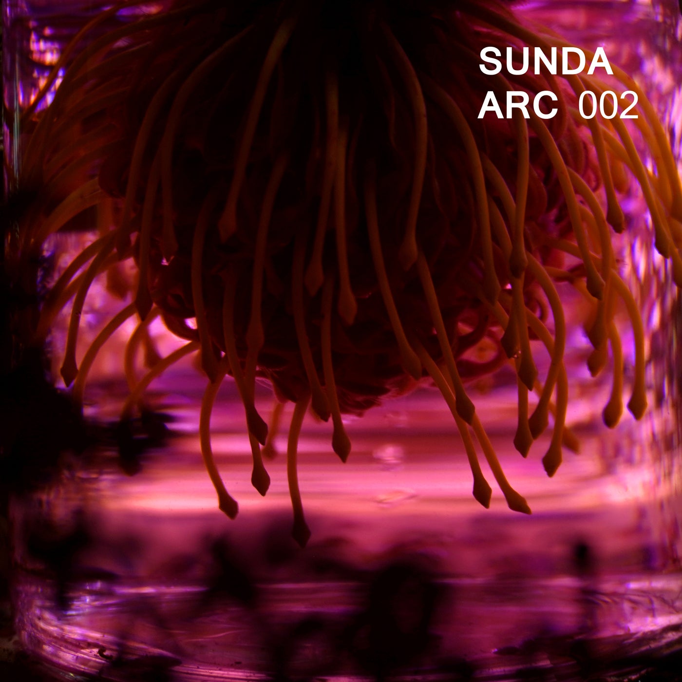 SUNDA ARC 002