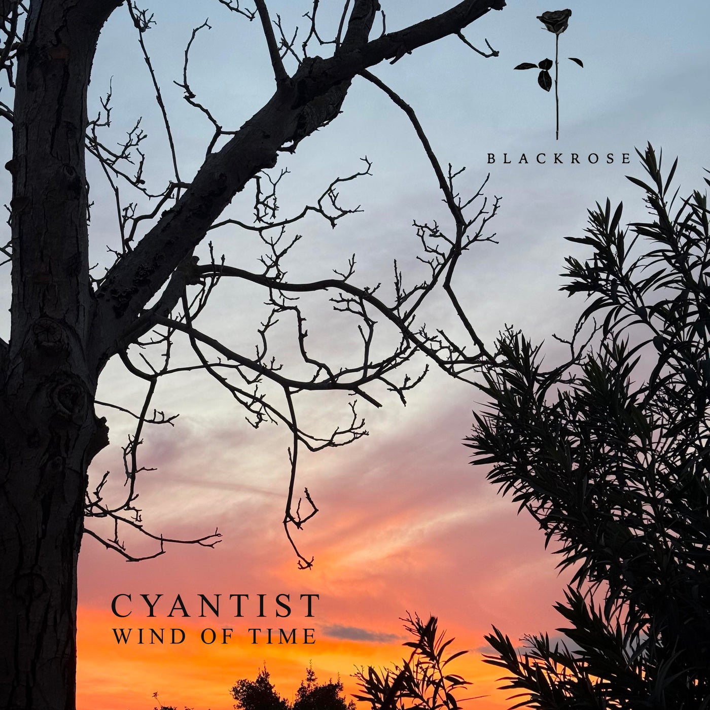 Wind of Time