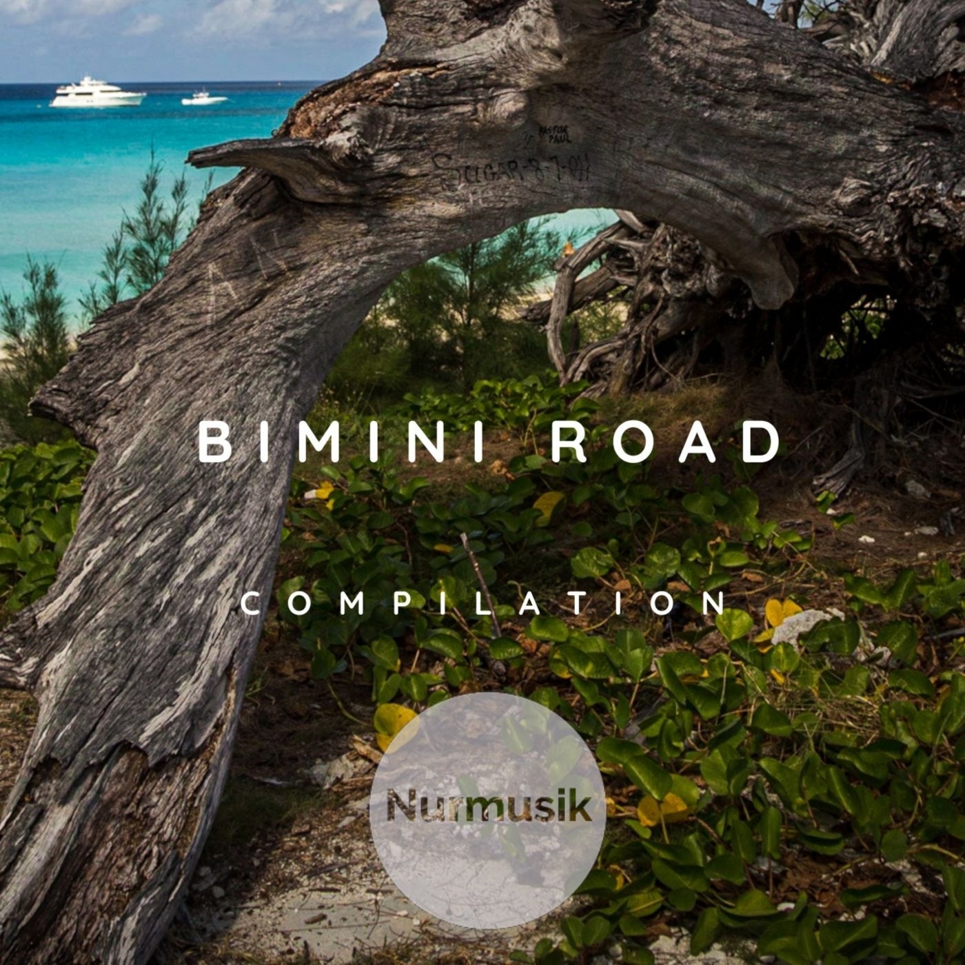 Bimini Road