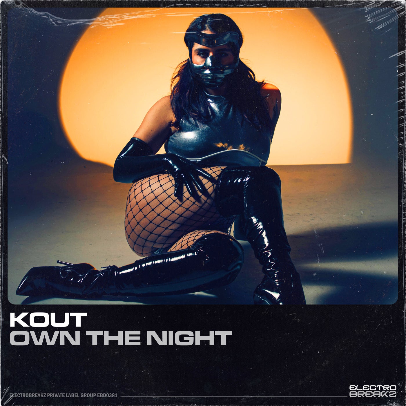 Own The Night