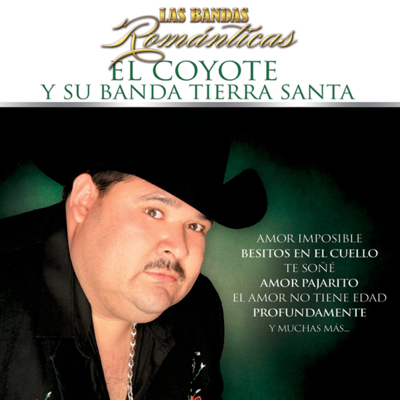 Cover art for Las Bandas Románticas