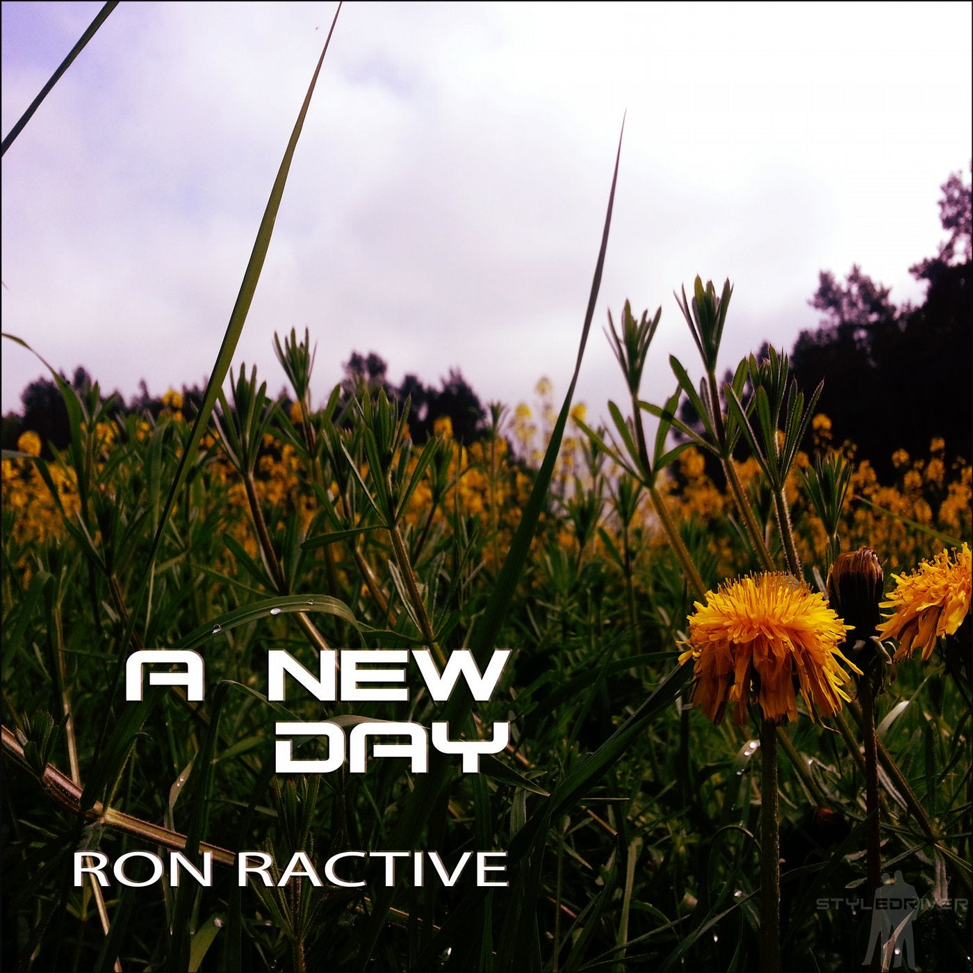 A New Day