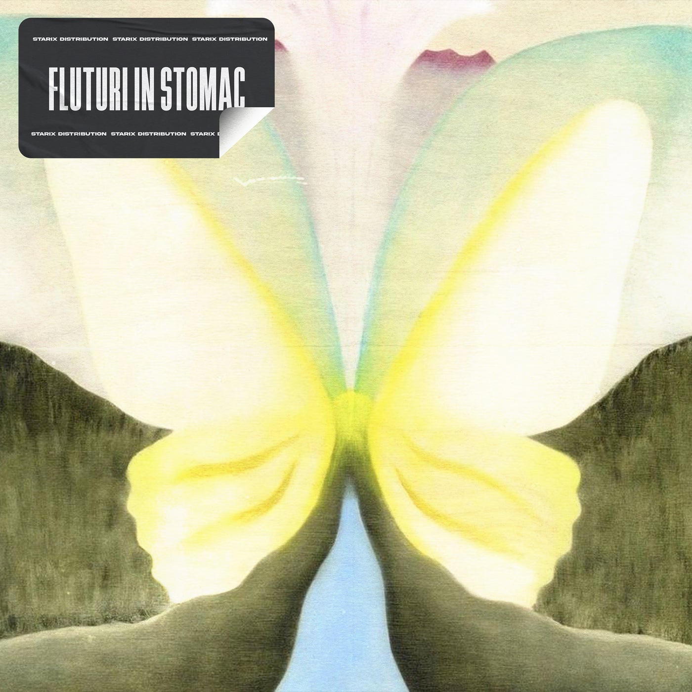 Fluturi In Stomac