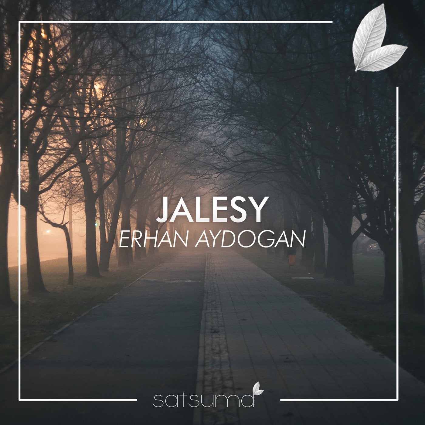 Jalesy