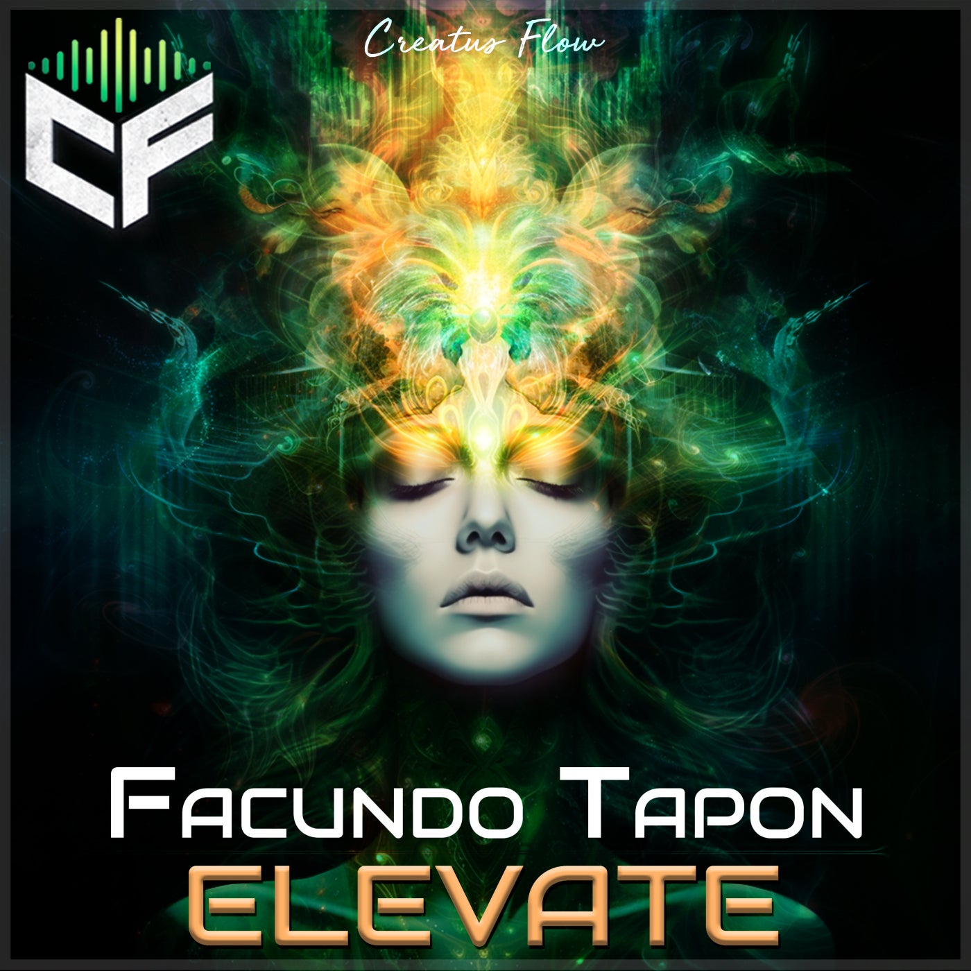 Elevate
