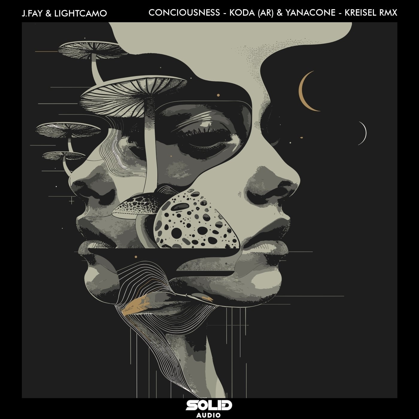 Cover art for Consciousness