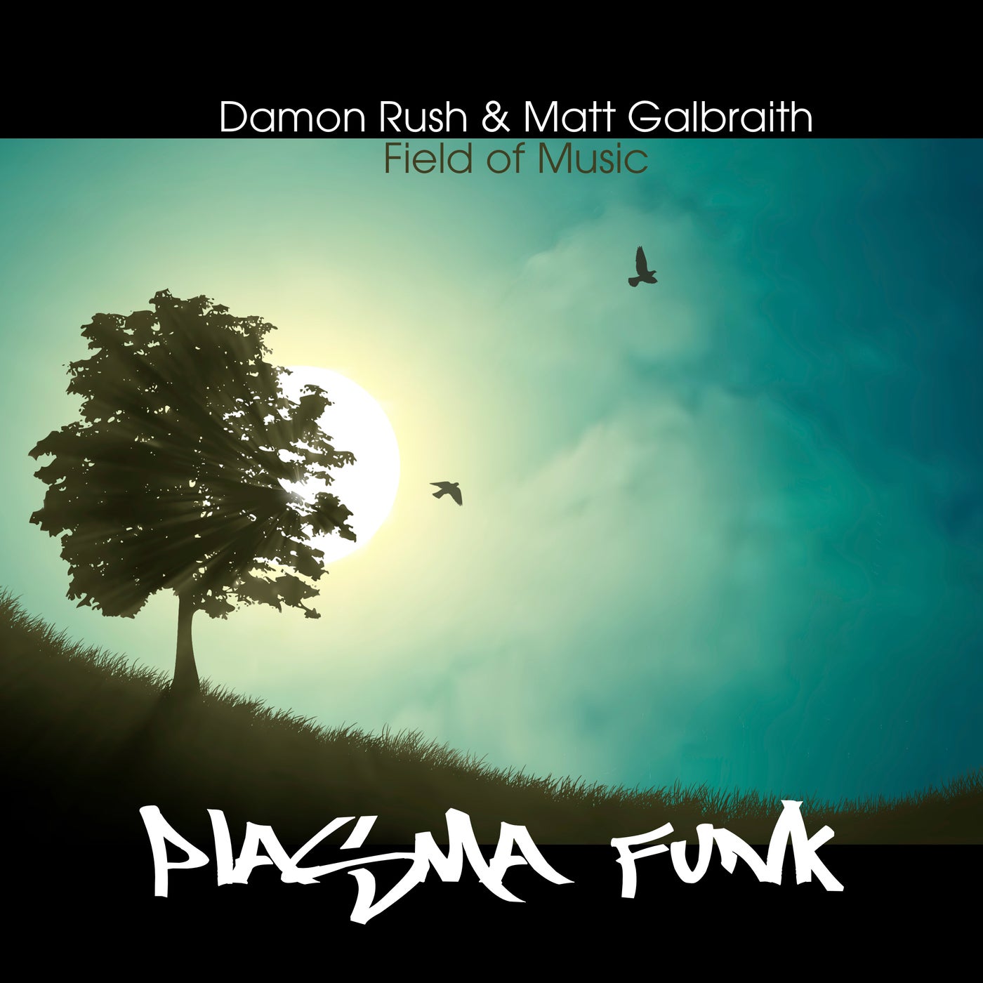 Field of Music
