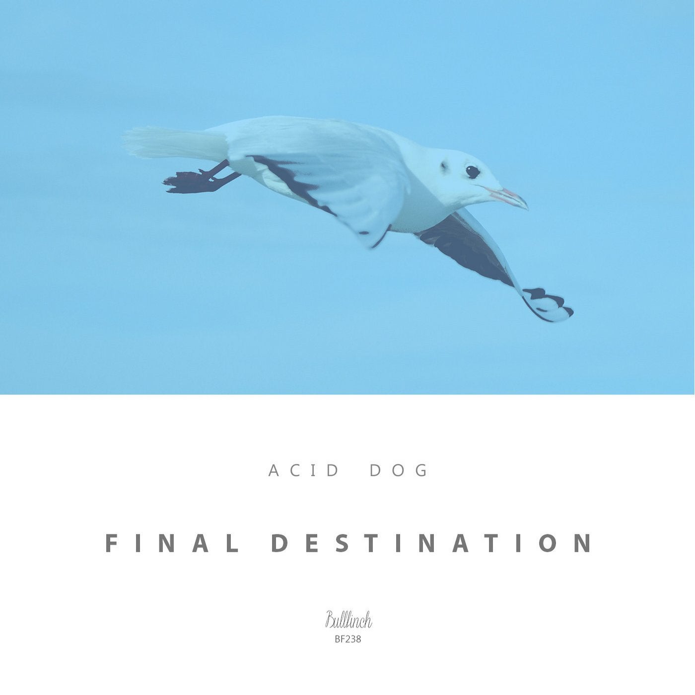 Final Destination