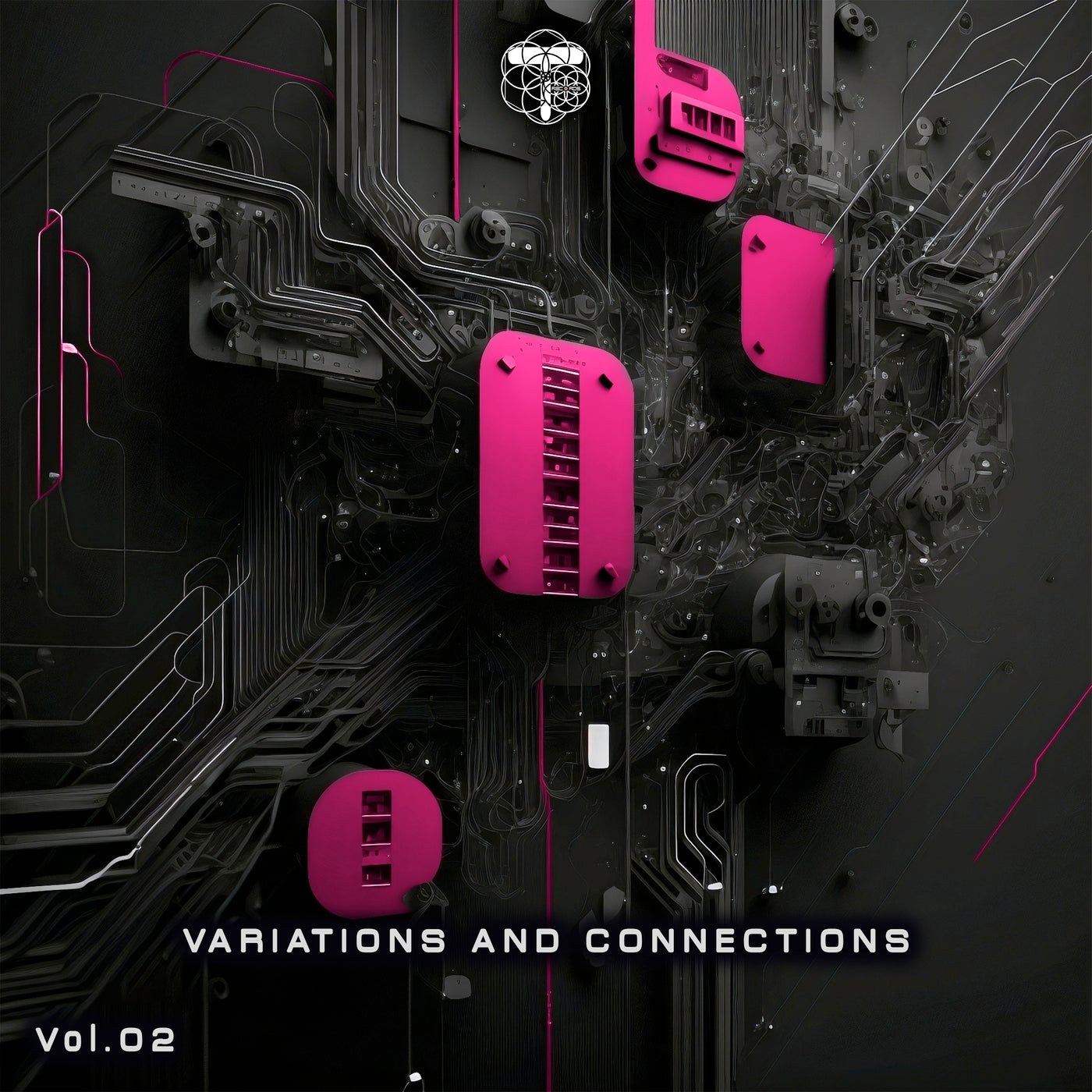 Variations and Connections, Vol.02