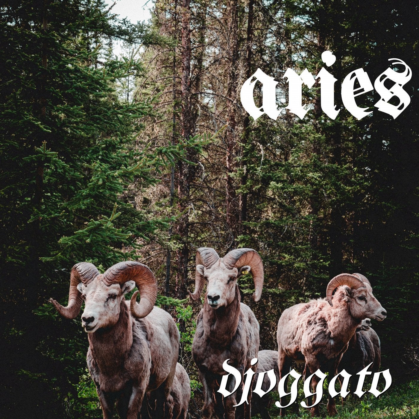 Aries