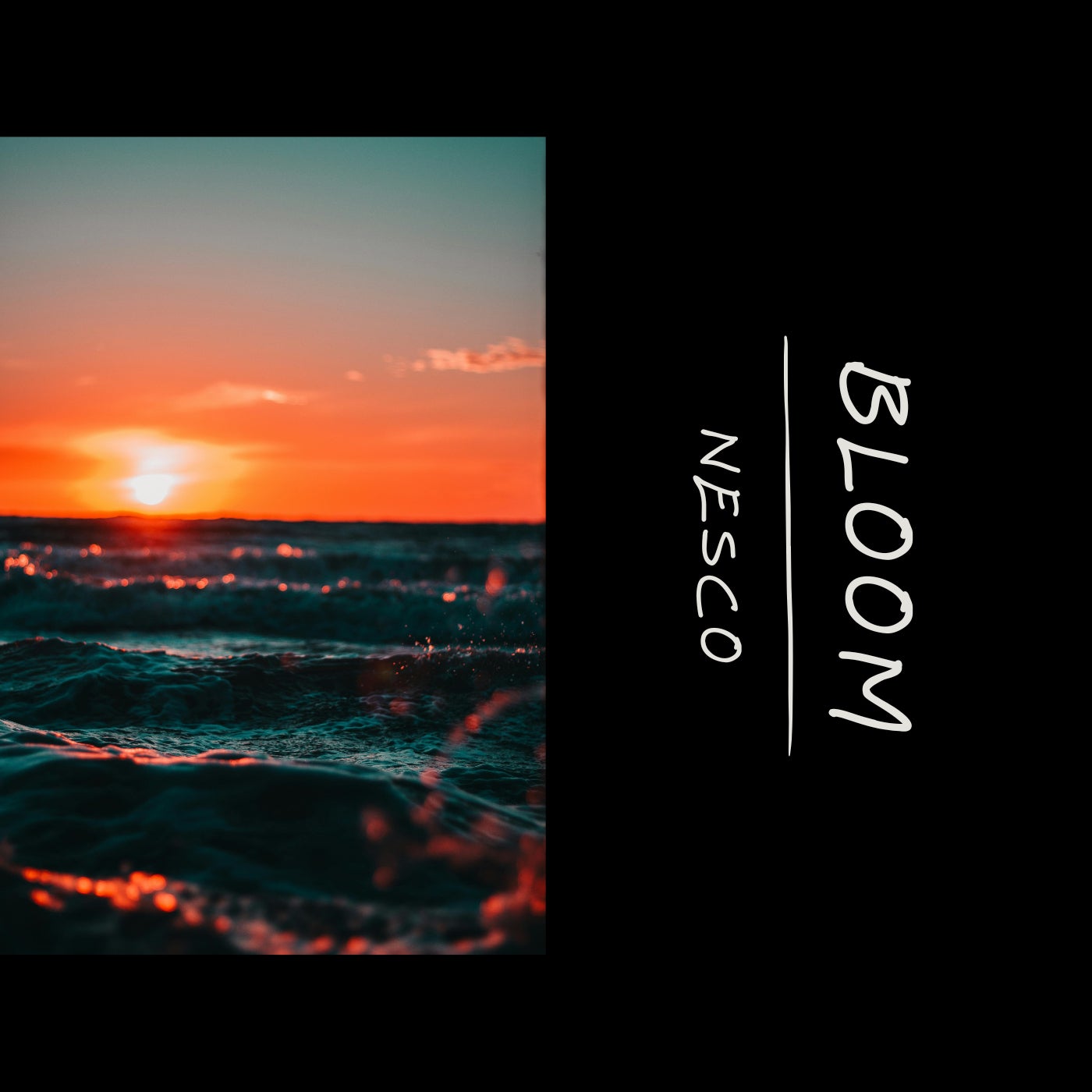 Bloom