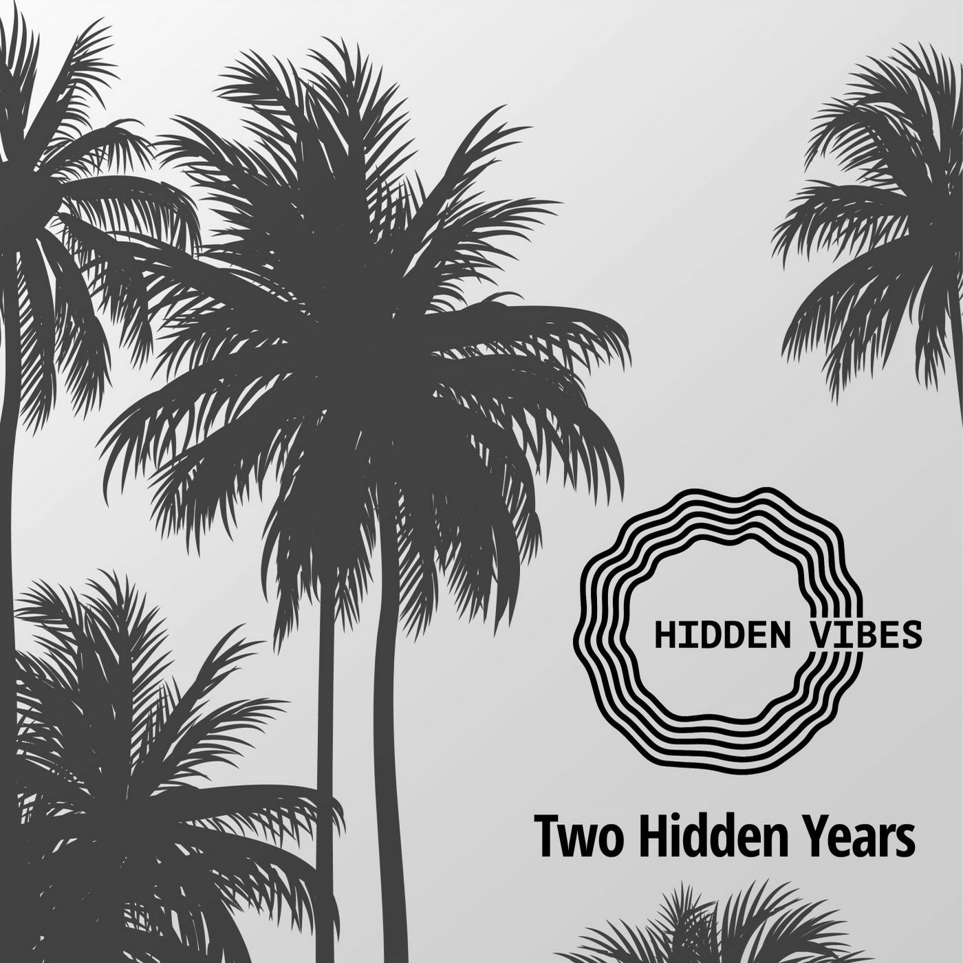 Two Hidden Years