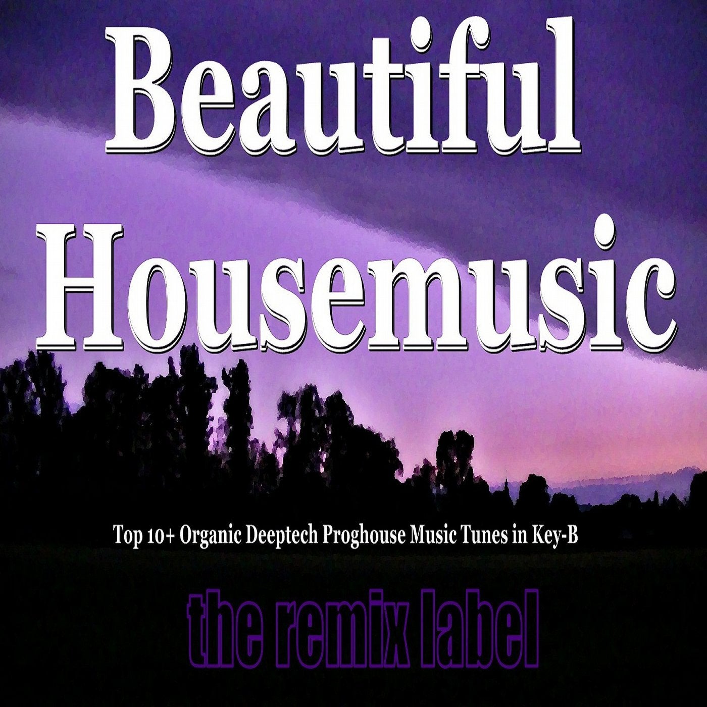 Beautiful Housemusic