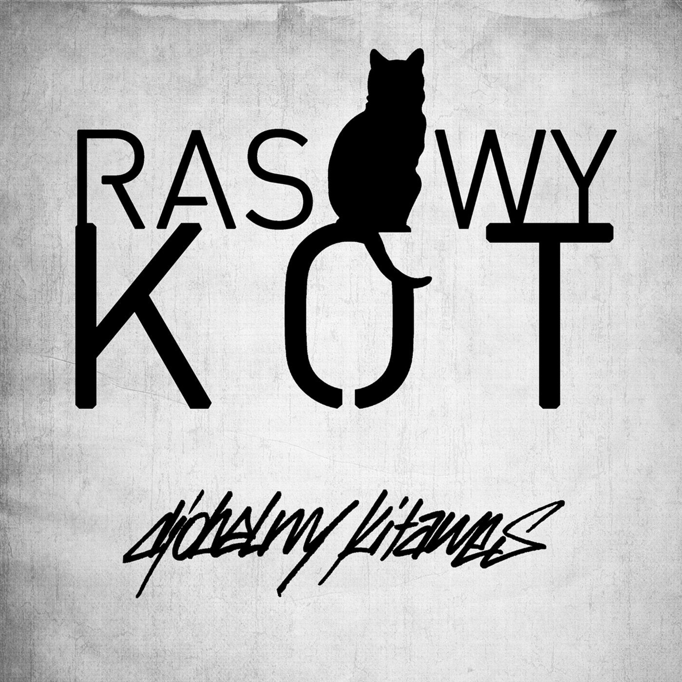 Rasowy Kot