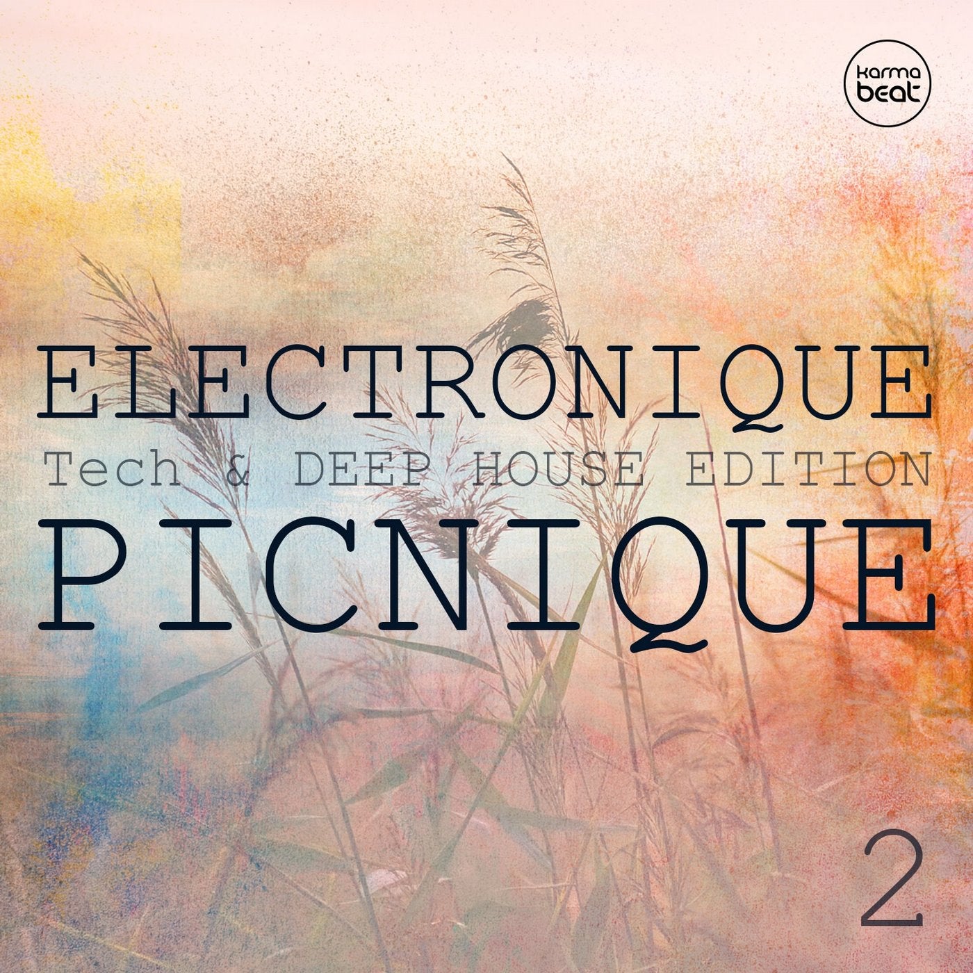 Electronique Picnique, Vol. 2 (Teck & Deep House Edition)