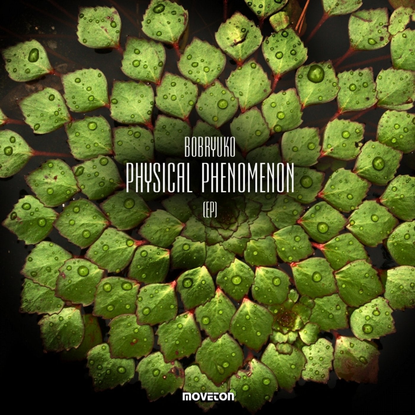 Physical Phenomenon