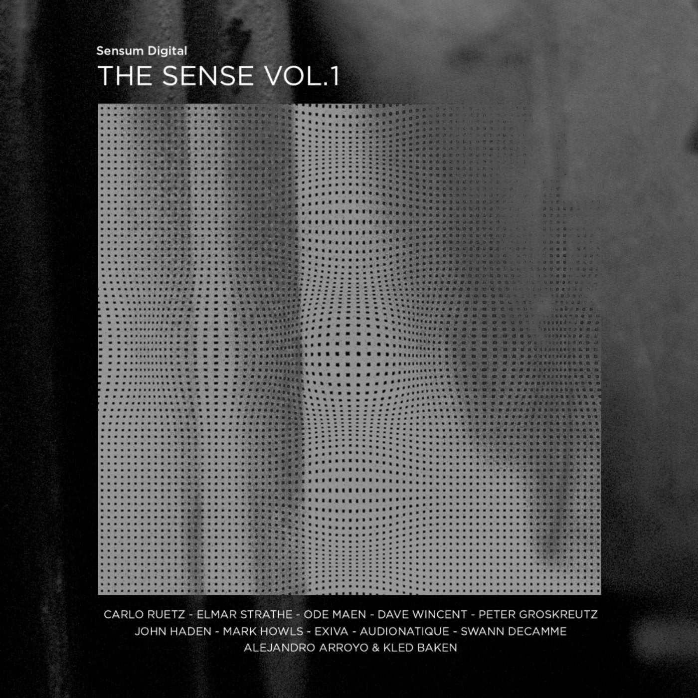 The Sense, Vol. 1