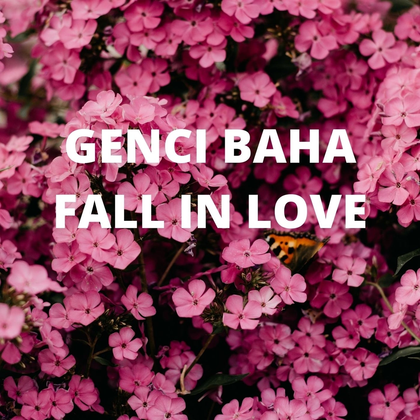 FALL IN LOVE