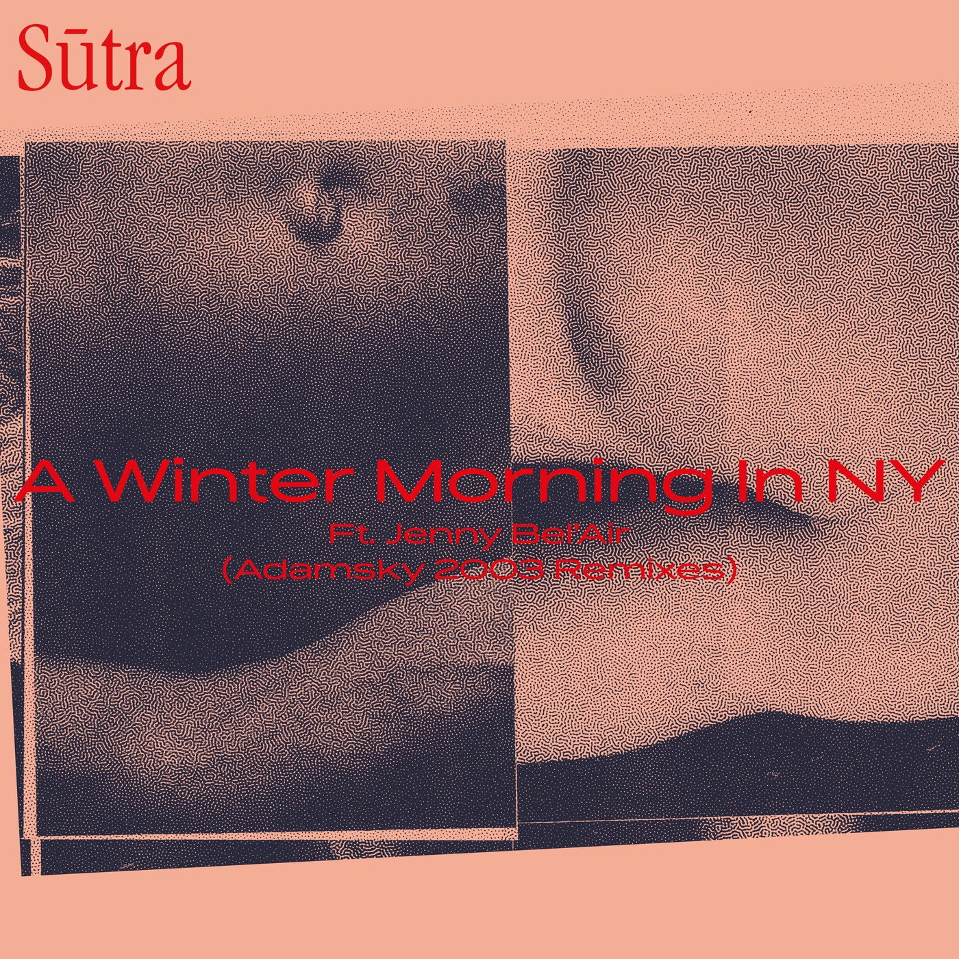 A Winter Morning In NY