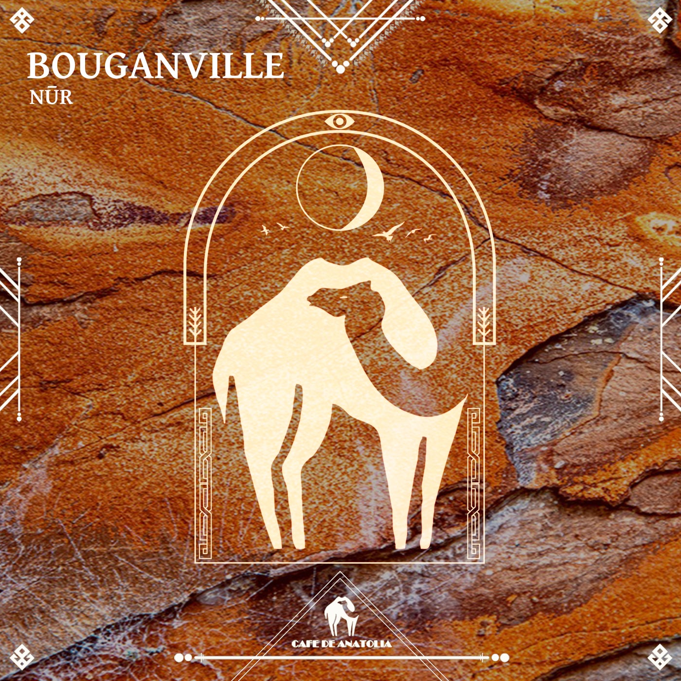 Bouganville