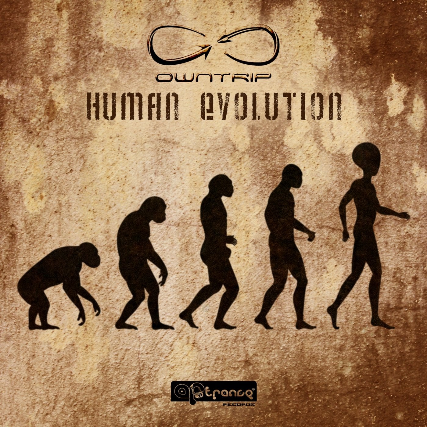 Human Evolution