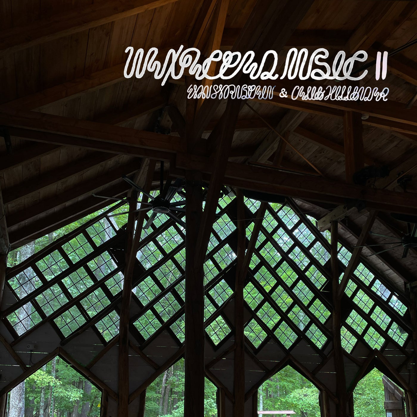 Unexpected Music II