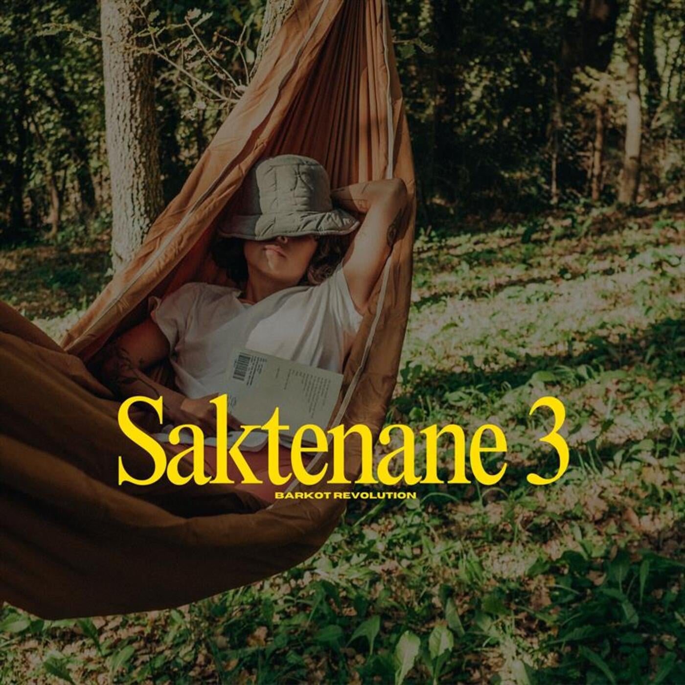 Saktenane 3