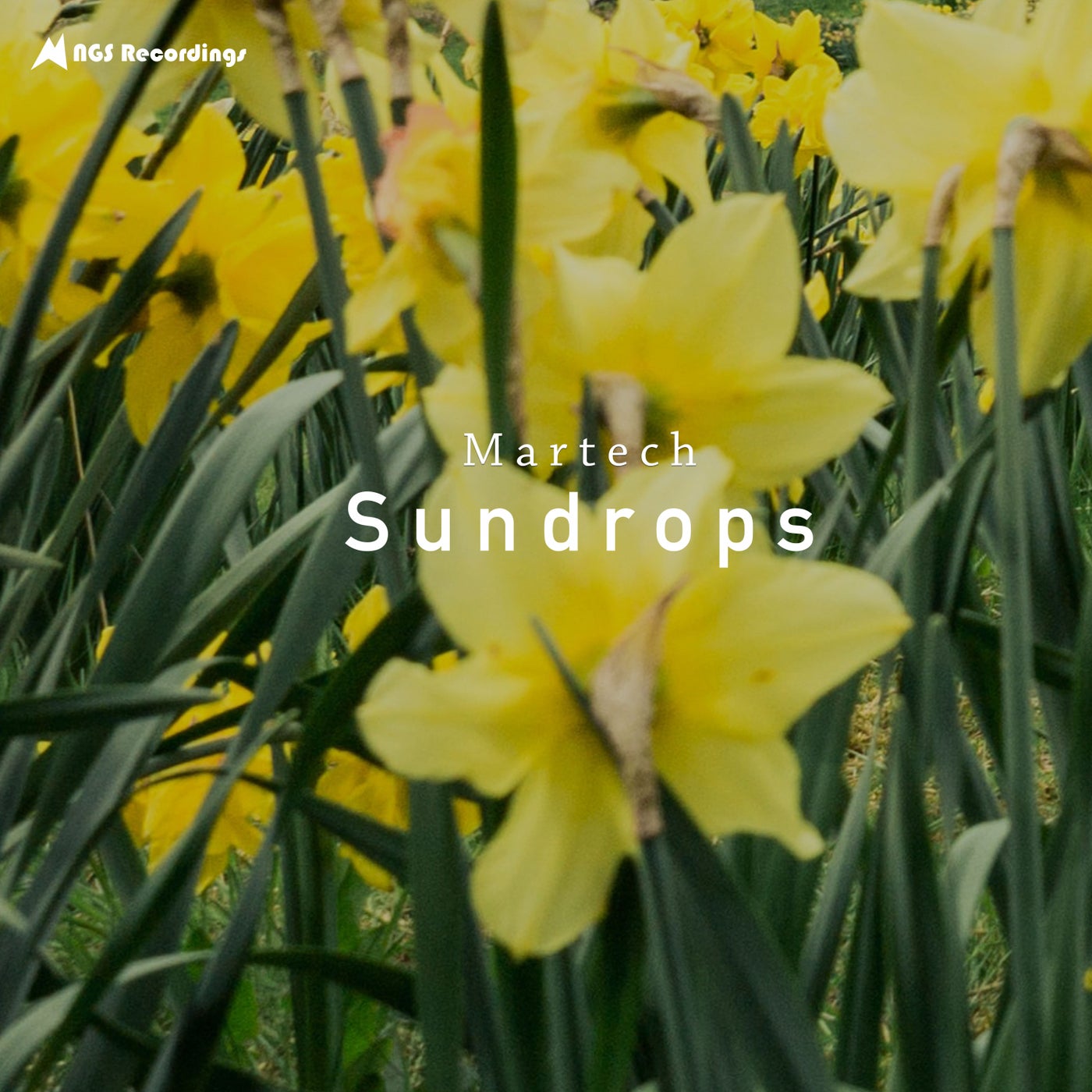 Sundrops