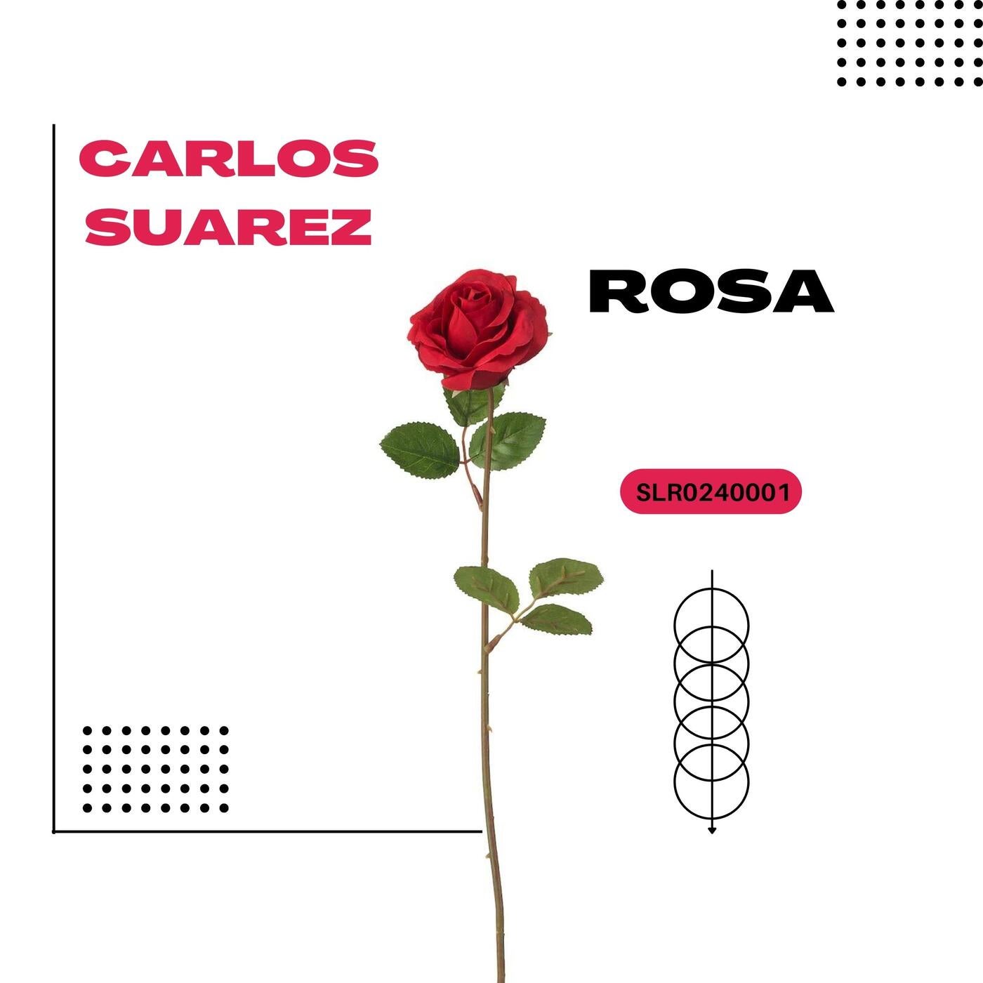 Rosa