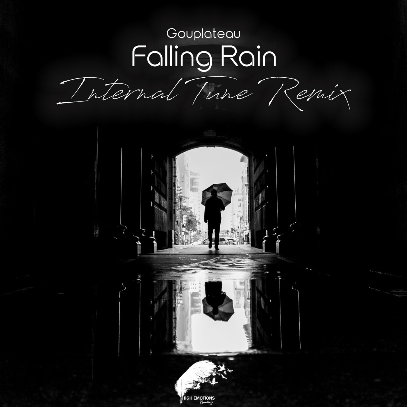 Falling Rain (Internal Tune Remix)